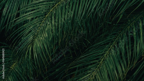Detailed macro shot of lush...