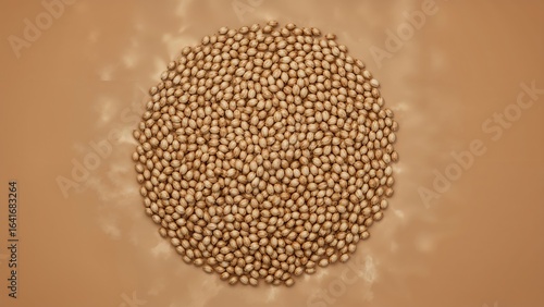 Organic wheat grains ready ...