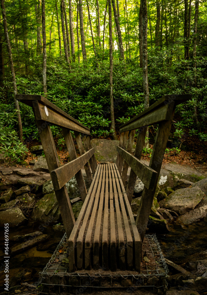 Fototapeta premium Looking Across Sturdy Bridge On Trail In New River Gorge