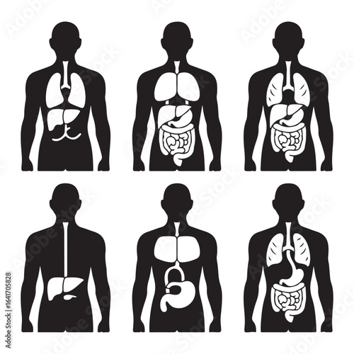 Set of icons depicting human internal anatomy and organs vector illustration. Vector black silhouette. with white background.