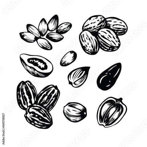 Nuts & Seeds Woodcut Vector Set - Minimalist Engraved Illustrations for Snack Packaging