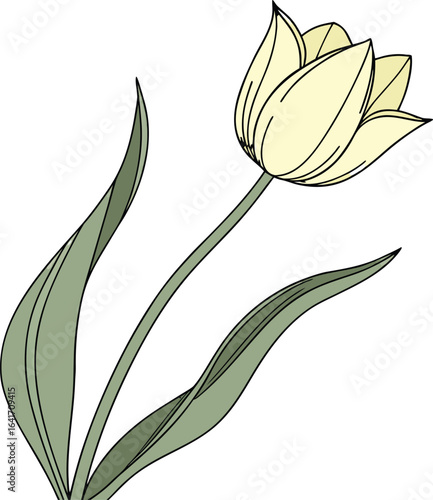 Vibrant single yellow tulip illustration with clean lines and a bright cheerful aesthetic perfect for spring and floral designs