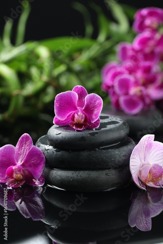 Beautiful orchid flowers and pebble stones with water drops on wet black surface, closeup
