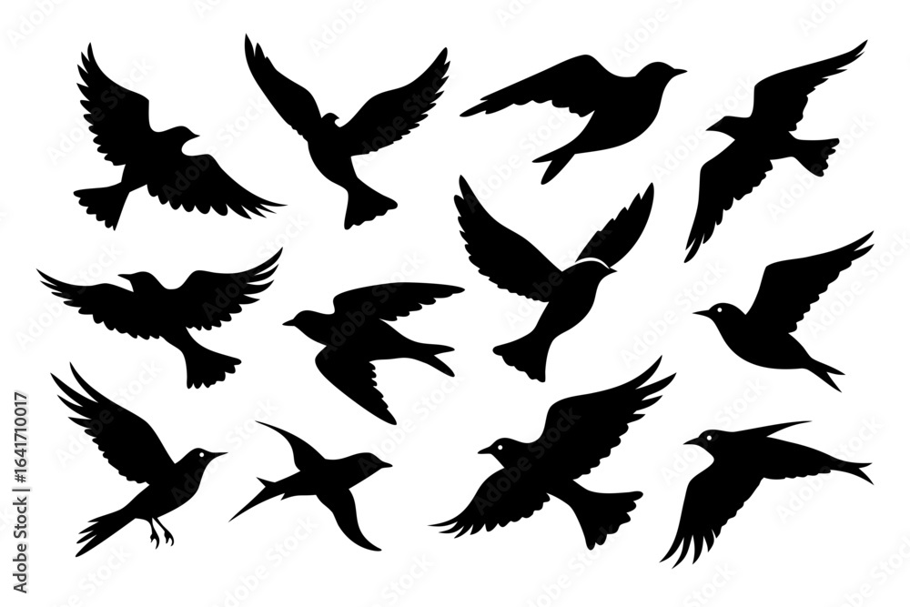 Obraz premium flying bird silhouette vector bundle