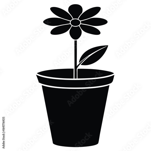 Florist element isolated flower pot on white background 