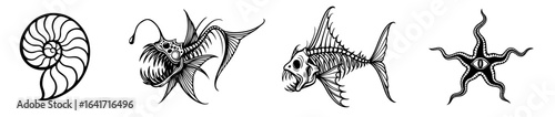 Ammonite shell, deep sea anglerfish, predatory fish skeleton, brittle star


