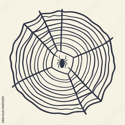 Spider Web Illustration: A symmetrical spider web is intricately spun. It is a visually engaging composition, evoking themes of nature and mystery.