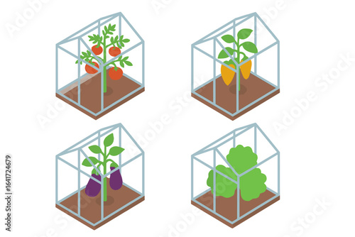 Isometric Greenhouse Icons Set with Tomato Vine, Pepper Plant, Eggplant Plant, and Lettuce Growing Illustrations, Flat Vector Agriculture and Gardening Symbols
