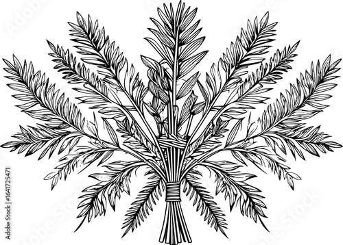 Seamless pattern of vector illustration palm frond in vintage botanical style, inspired by tropical plants and Sukkot holiday symbols