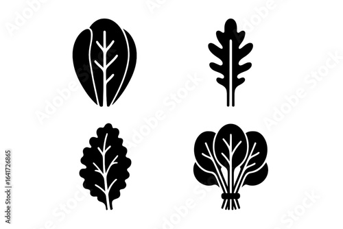 Leafy greens solid glyph icons set. Vector silhouettes of romaine lettuce, arugula, kale, spinach. Healthy eating, vegetables, salad ingredients. Organic food concept.
