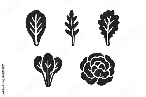 Leafy greens icon set. Solid glyph icons of salad vegetables. Romaine lettuce, arugula, kale, spinach, butter lettuce. Healthy food vector illustration for design.