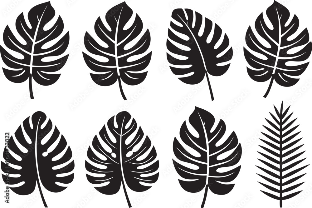 Obraz premium Collection of Black Silhouette Tropical Leaves on White Background Vector Illustration Design Elements for Graphic Projects and Creative Decorations