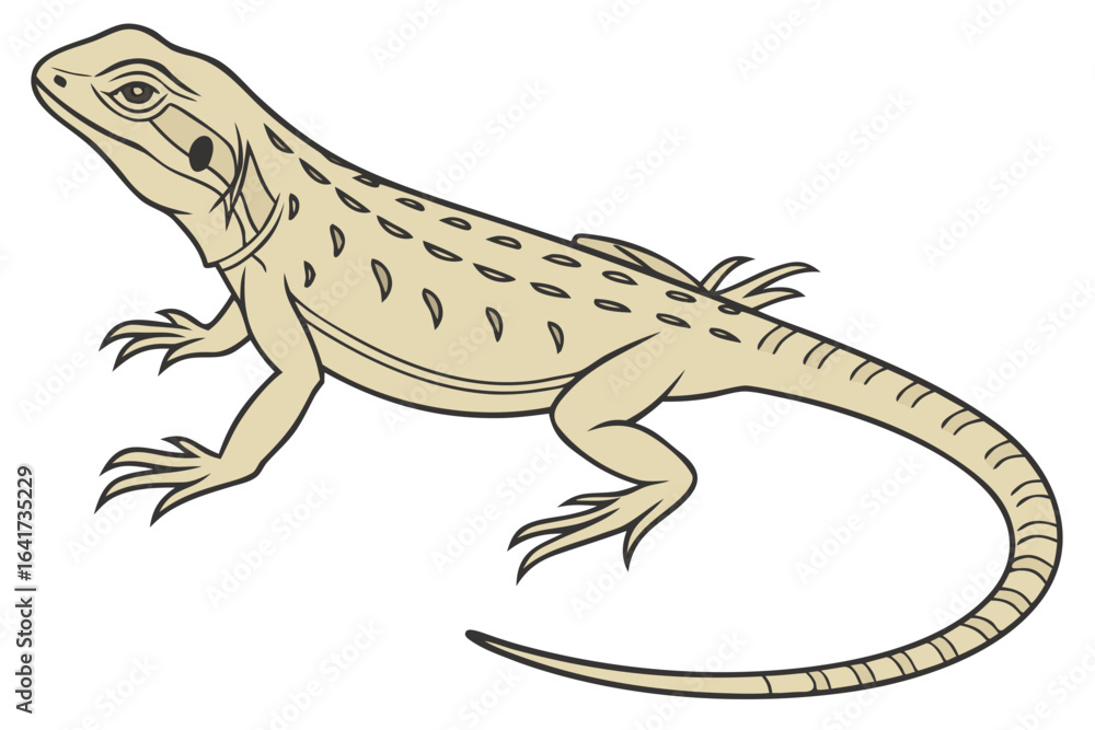Naklejka premium Vibrant illustration of a common lizard, capturing the essence of reptilian wildlife with accurate detail and natural earthy tones against a clean background.