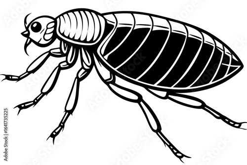 Detailed black and white drawing of a flea, a parasitic insect. A vector concept representing pests, infestation, and entomology.