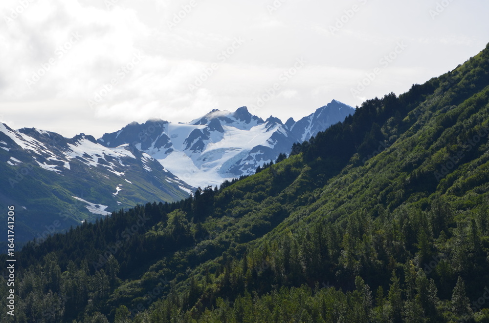 Exit Glacier Alaska 2025 Exit Glacier Alaska 2025