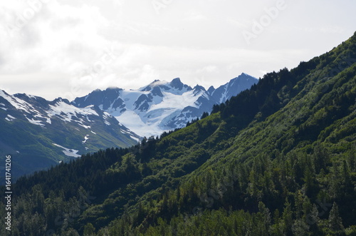 Exit Glacier Alaska 2025