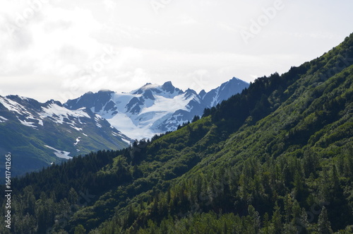 Exit Glacier Alaska 2025