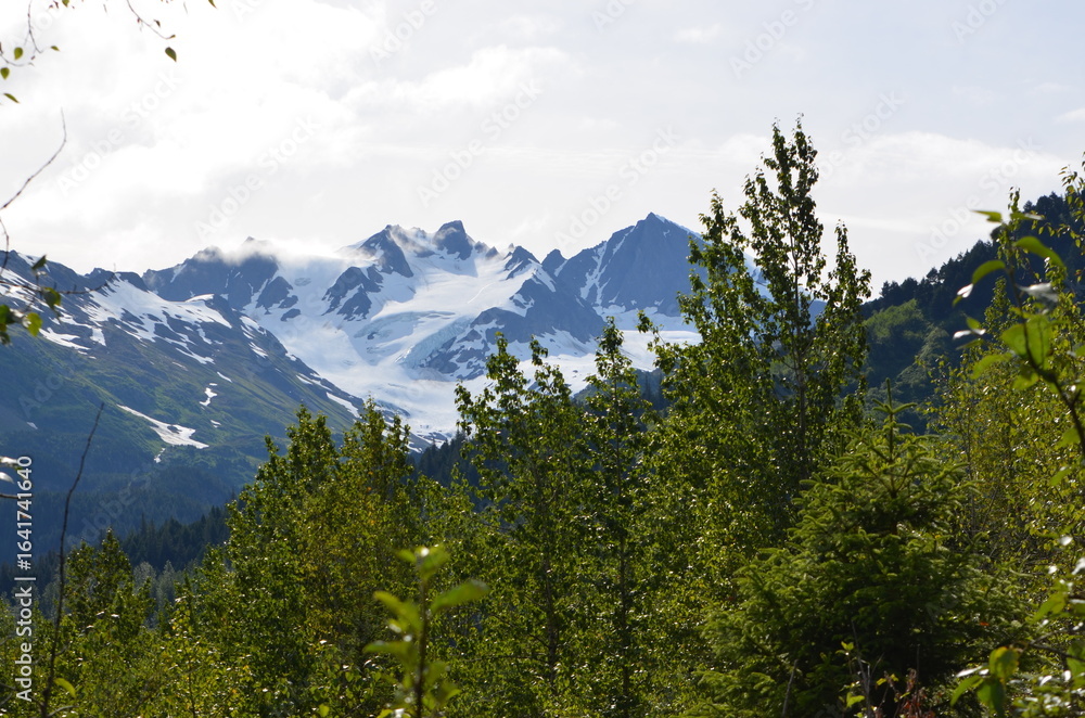 Fototapeta premium Exit Glacier Alaska 2025
