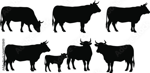 Cow silhouettes, calf silhouettes, grazing cattle, walking bovine, farm animals, livestock vector, horned calf, beef cattle, countryside illustration,