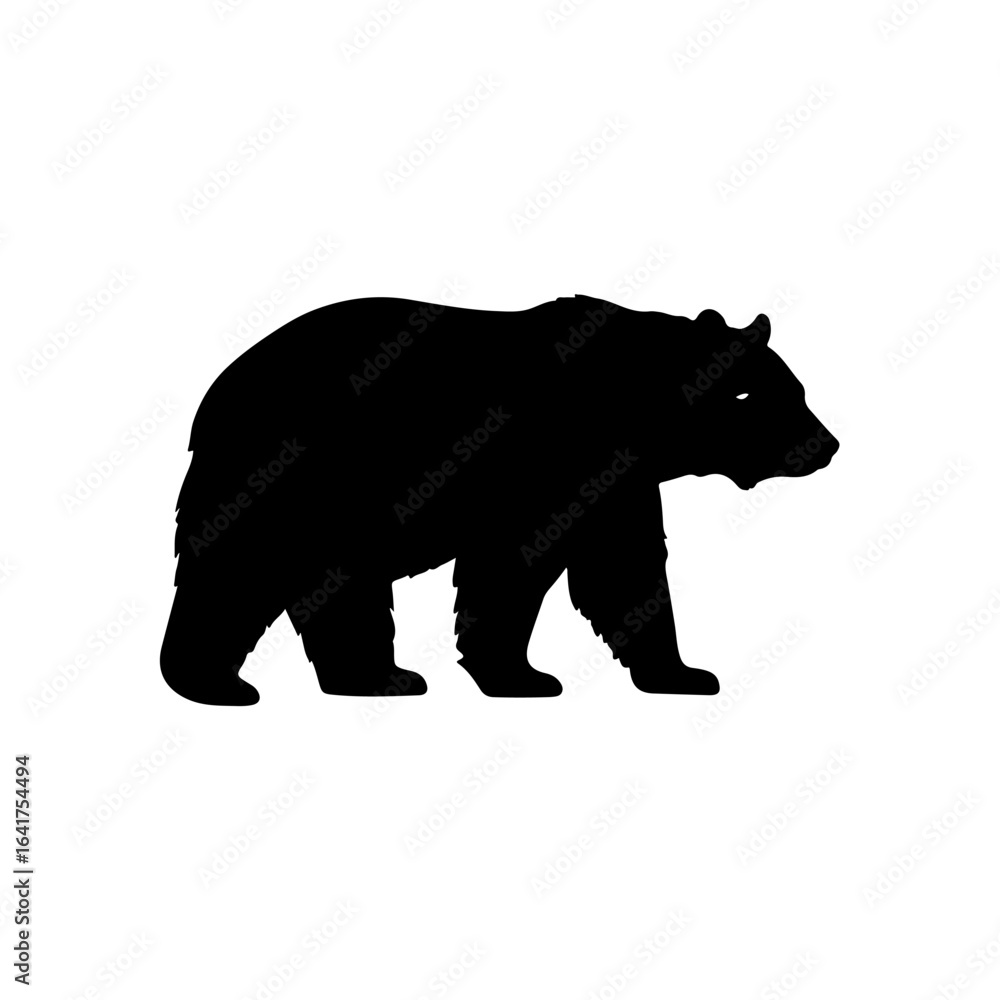 Fototapeta premium Black bear
