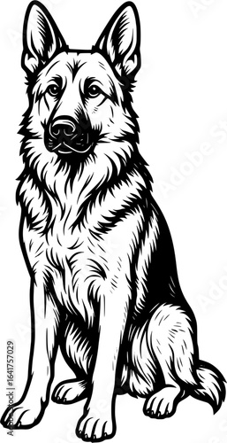 German Shepherd Dog bold stylized black and white vector illustration