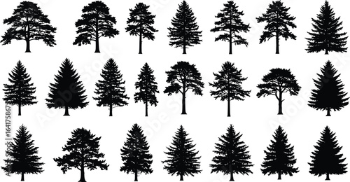 Tree silhouette collection, pine tree, spruce, fir, forest elements, nature illustration, black tree vector, evergreen design, outdoor landscape graphics, woodland art