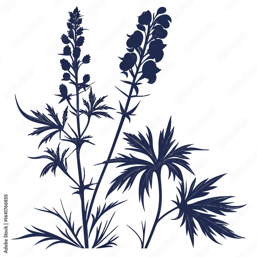 Fototapeta premium black and white aconitum napellus