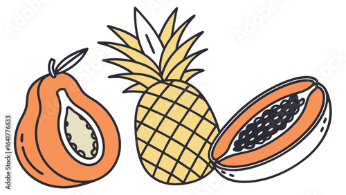 vector illustration of pineapple