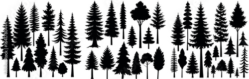 Various Tree Silhouettes on White Background — Pine, Cedar, Evergreen Forest Vector Illustration