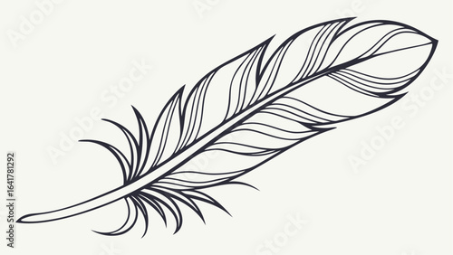 feather on white background