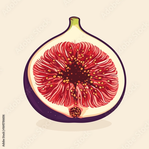 A cross-section illustration reveals the intricate interior of a ripe fig, featuring a deep-red flesh with tiny seeds, contrasted by a purple skin and light background