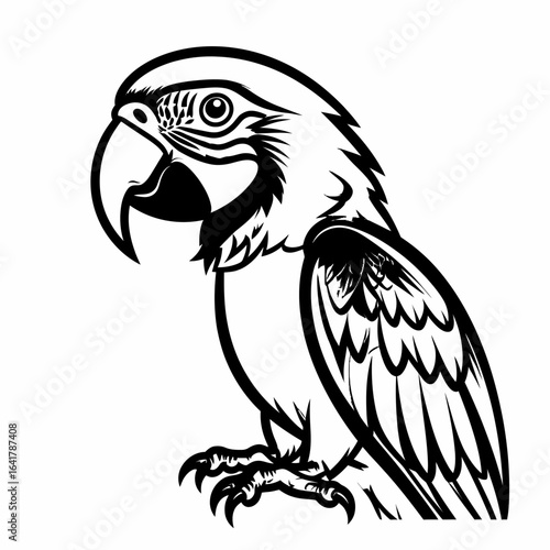 A detailed black and white illustration of a parrot in a side profile, showcasing intricate feather and beak details