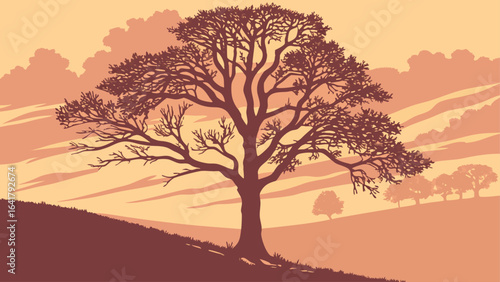 tree in sunset