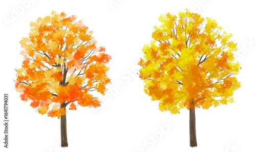 Vertor set of autumn tree,plants side view for landscape elevation and section,eco environment concept design,watercolor ginkgo tree illustration,colorfull
 season