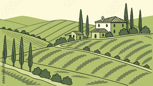 vineyard in tuscany