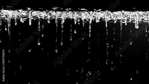 Melting icicles on a dark winter background dripping water