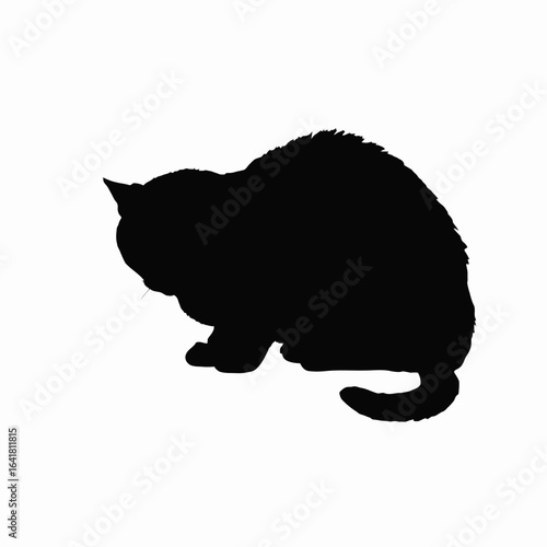 Black silhouette of a seated cat