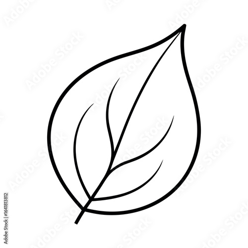Dogwood Leaf Minimal Botanical Line Drawing with Elegant Natural Style Vector illustration