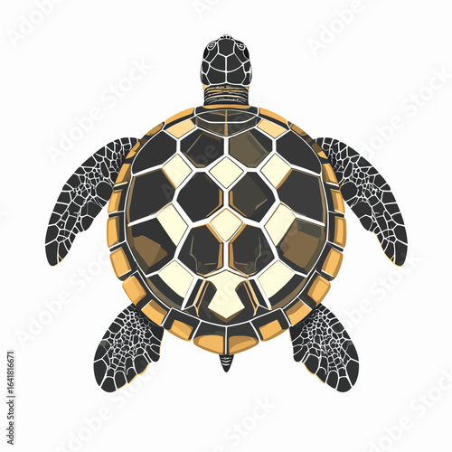 Illustration of a sea turtle, featuring a patterned shell in shades of brown, beige, and black. The turtle's head and flippers are detailed