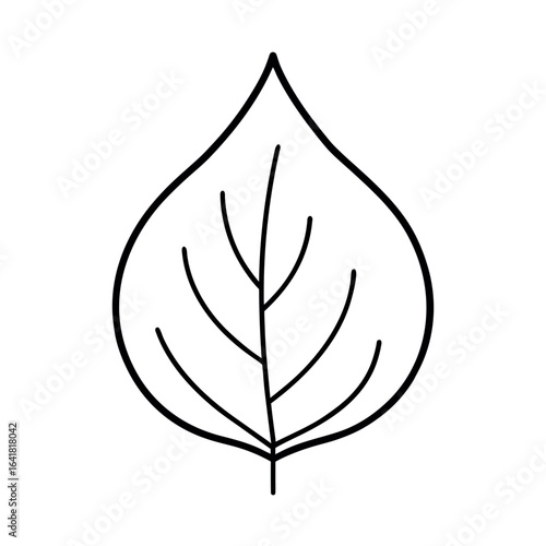 Tulip Poplar Leaf Minimal Botanical Line Drawing with Graceful Elegant Detail Vector illustration