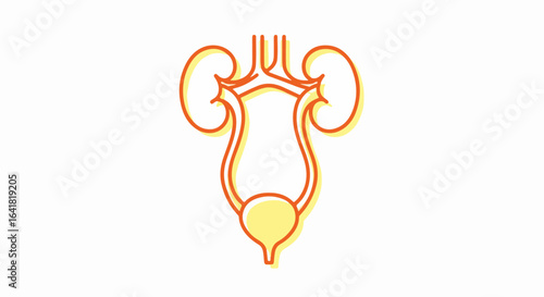 Stylized Line Art Illustration of Human Urinary System with Kidneys and Bladder