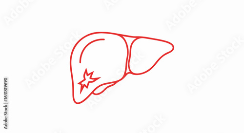 Red Liver Outline with Star-Shaped Markings, Anatomical Illustration