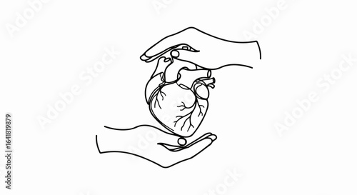 Anatomical Heart in Hands, Continuous Line Art, Medical Illustration