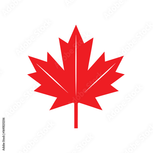 Vector of canadian maple leaf on white background.