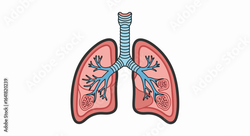 Anatomical Illustration of Lungs with Bronchial Tubes
