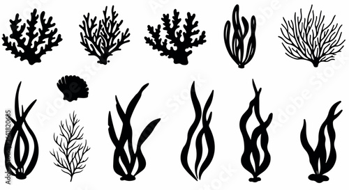 Set of black silhouette seaweed and coral marine plants, perfect for underwater-themed designs and ocean illustrations