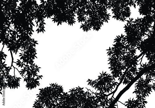 Tree canopy silhouette clipart, forest branches frame, nature overlay, transparent background, digital art for crafts and design