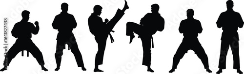 Martial arts silhouettes, dynamic poses, high kick action, defensive stances, black figures, uniform detail, belt visible, isolated, white background