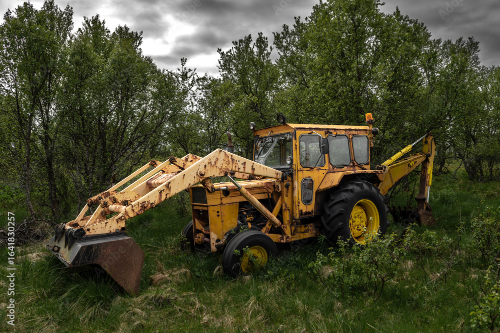 Obraz premium Rusty Yellow Excavator In Rural Landscape With Forest And Meadow 