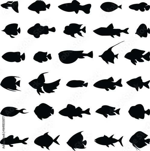 Fish Silhouette Pattern – Diverse Marine Species in Rows for Educational, Scientific, or Design Use